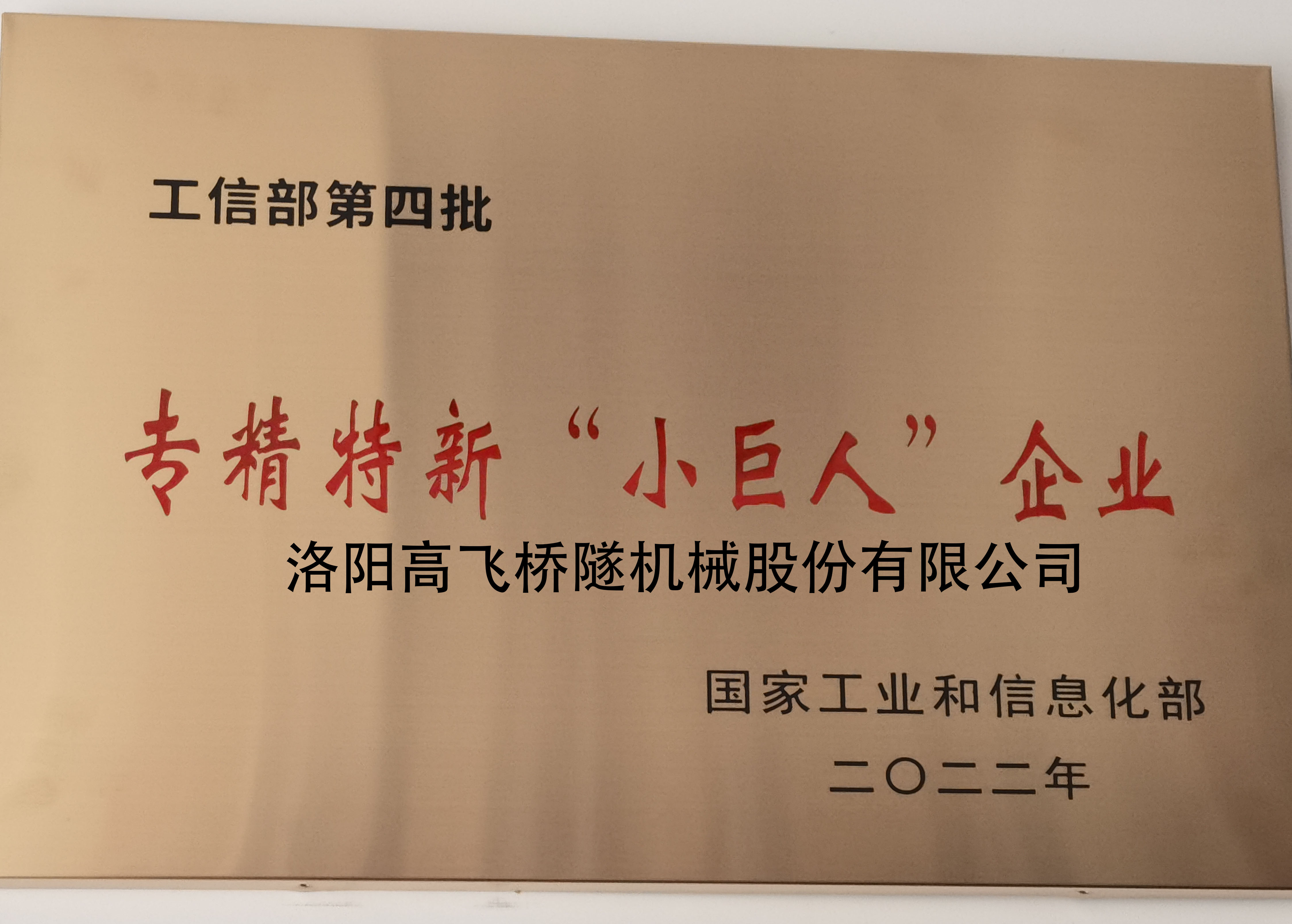 專精特新小巨人企業(yè) 專精特新小巨人企業(yè)